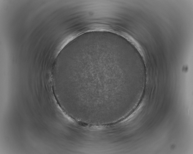 X0000094081385200711091205