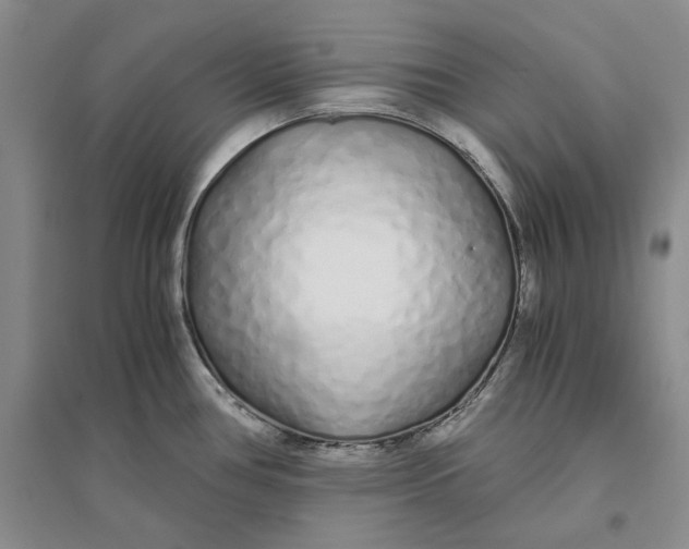 X0000094081386200711091205