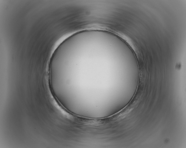 X0000094081387200711091205