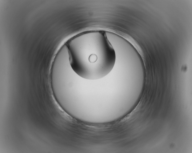X0000094081388200711091205