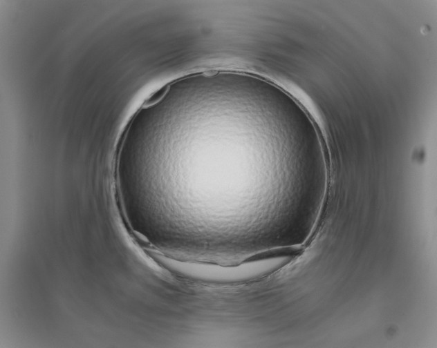 X0000094081389200711091205