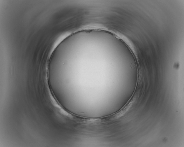 X0000094081390200711091205