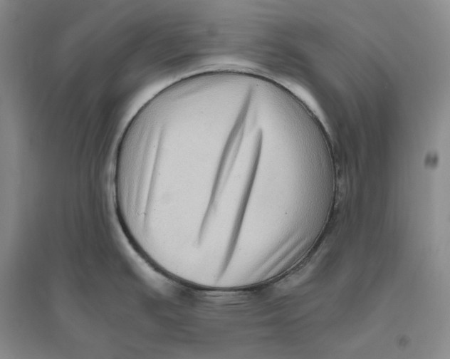 X0000094081391200711091205