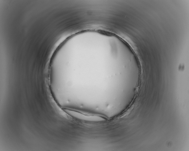 X0000094081392200711091205