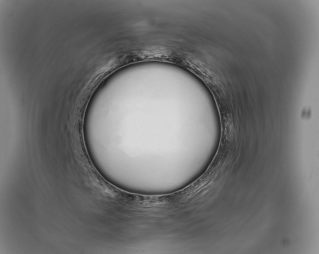 X0000094081393200711091204