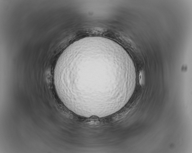 X0000094081395200711091204