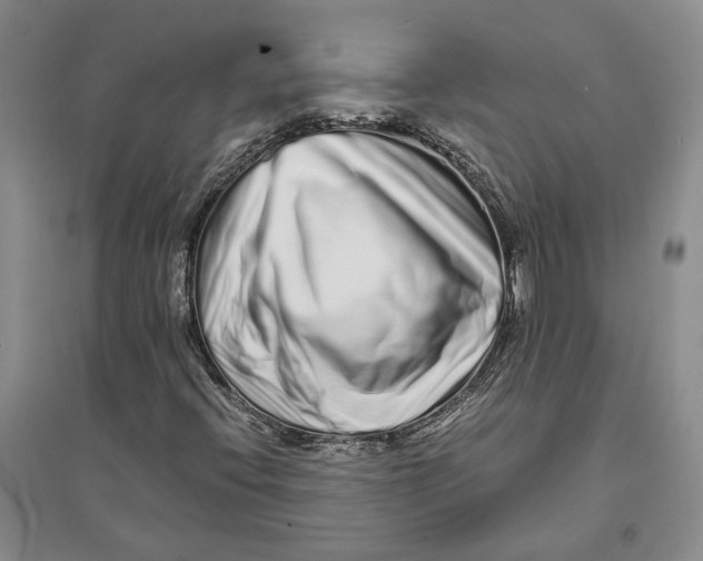 X0000094081396200711091204