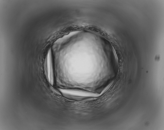 X0000094081397200711091204