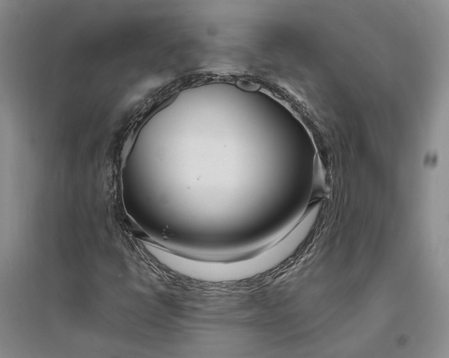 X0000094081398200711091204