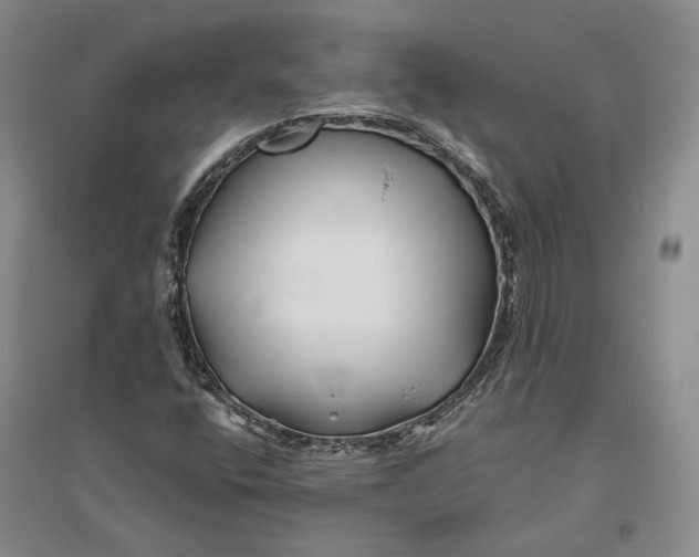 X0000094081400200711091204