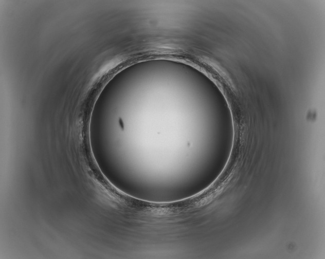 X0000094081402200711091204
