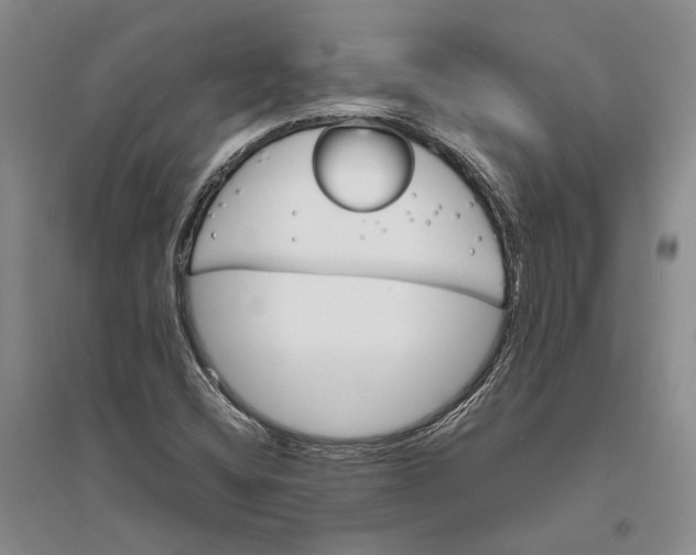 X0000094081404200711091204
