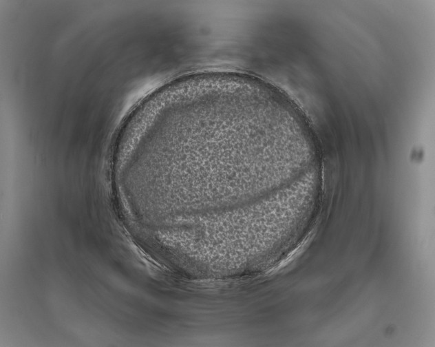 X0000094081405200711091204
