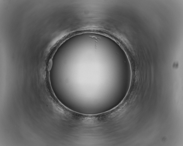 X0000094081406200711091204