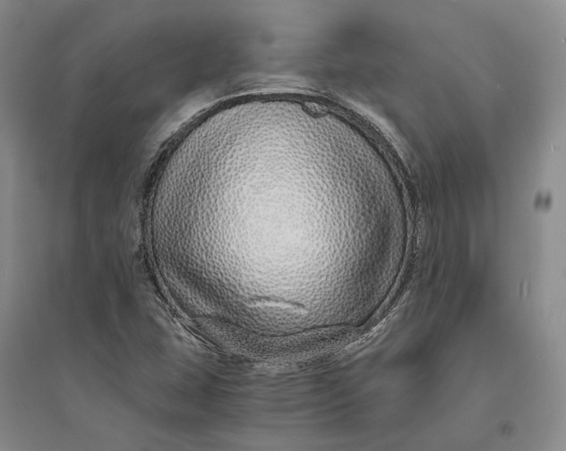 X0000094081407200711091204