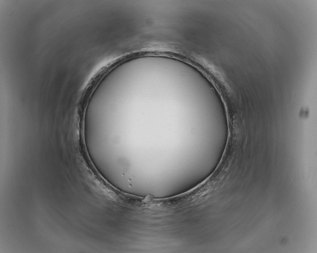 X0000094081408200711091204