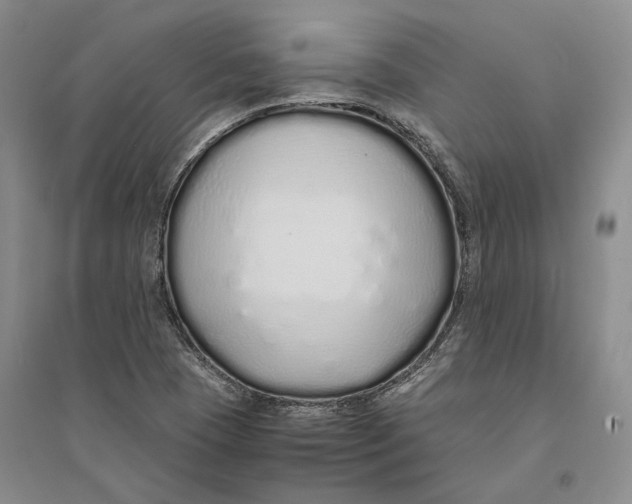 X0000094081409200711091204