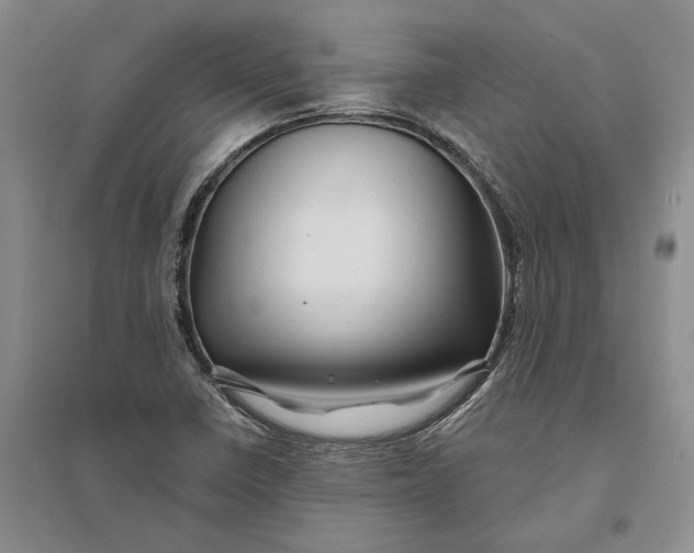 X0000094081410200711091204