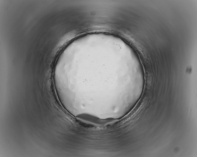X0000094081411200711091204