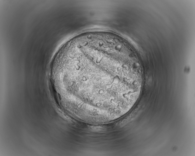 X0000094081413200711091204