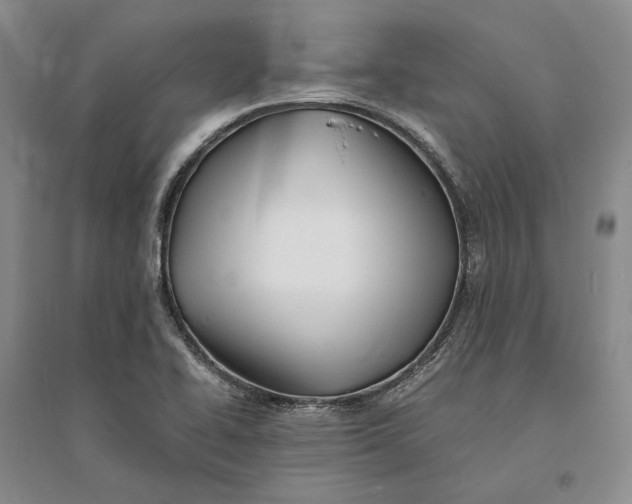 X0000094081414200711091205