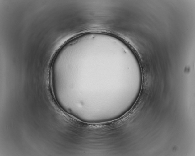 X0000094081415200711091205