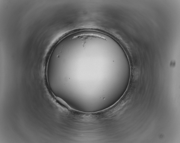 X0000094081416200711091205