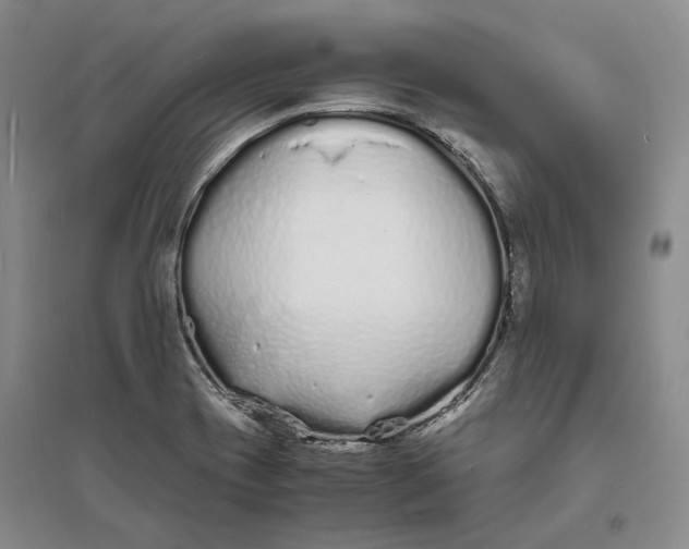 X0000094081417200711091205