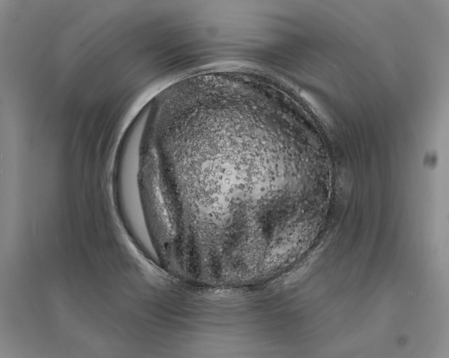 X0000094081418200711091205