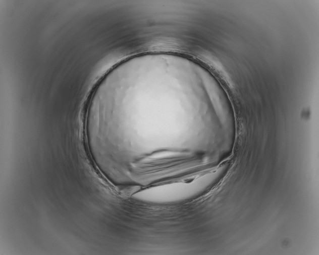 X0000094081419200711091205
