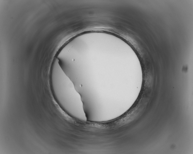 X0000094081420200711091205