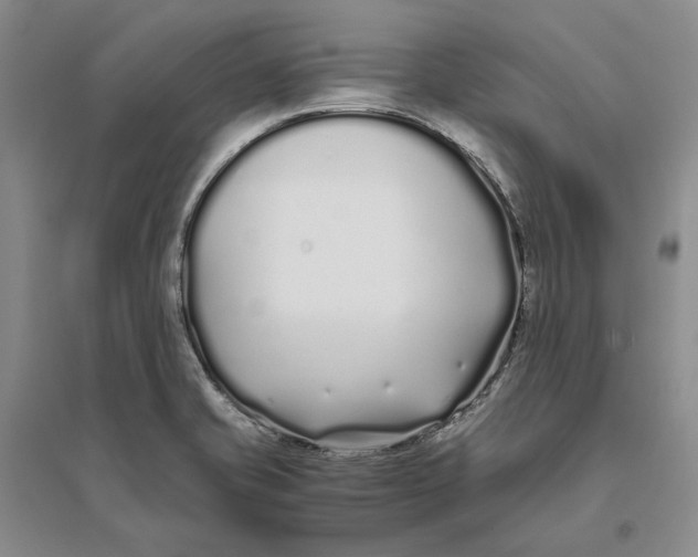 X0000094081421200711091205