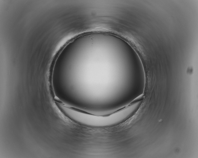 X0000094081422200711091205
