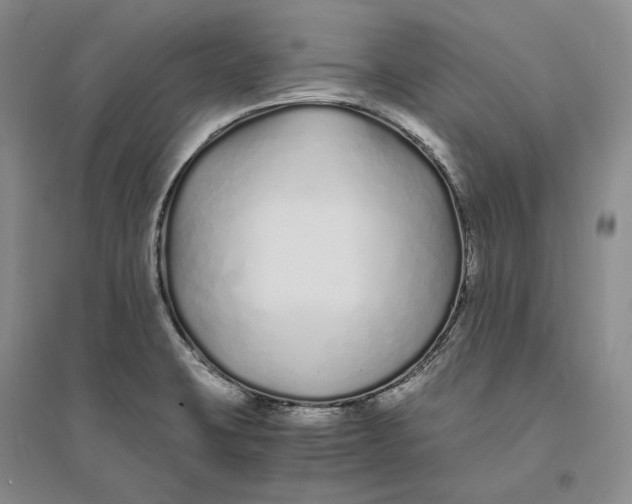 X0000094081423200711091205