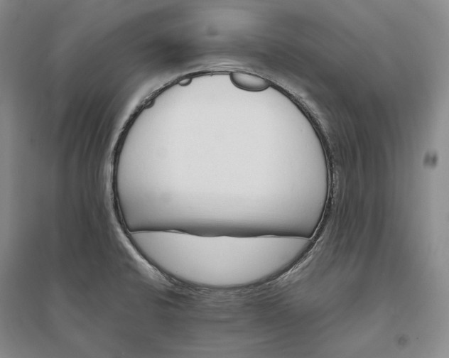 X0000094081424200711091205