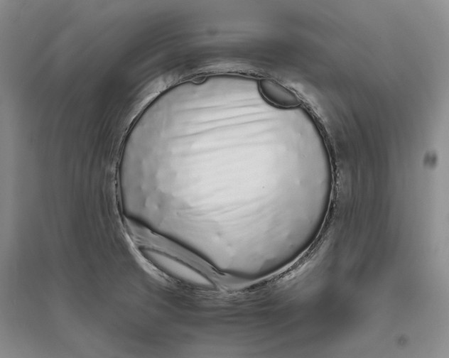 X0000094081425200711091205