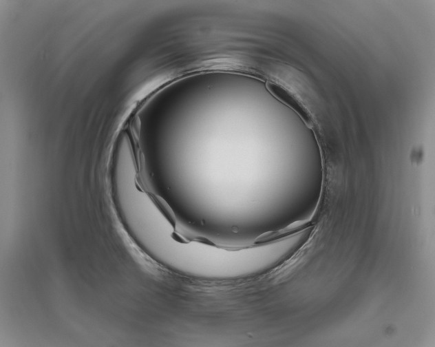 X0000094081426200711091205
