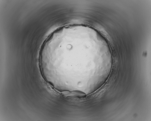 X0000094081427200711091205