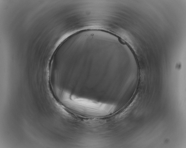 X0000094081428200711091205