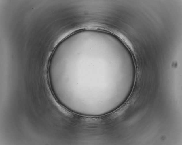 X0000094081429200711091205