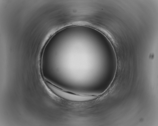 X0000094081430200711091205