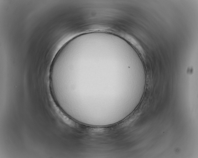 X0000094081431200711091205