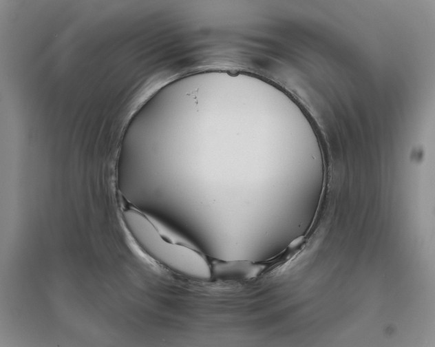 X0000094081433200711091205