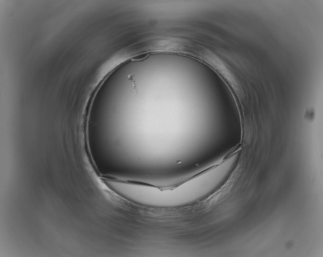 X0000094081434200711091205