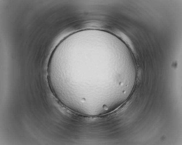 X0000094081435200711091205
