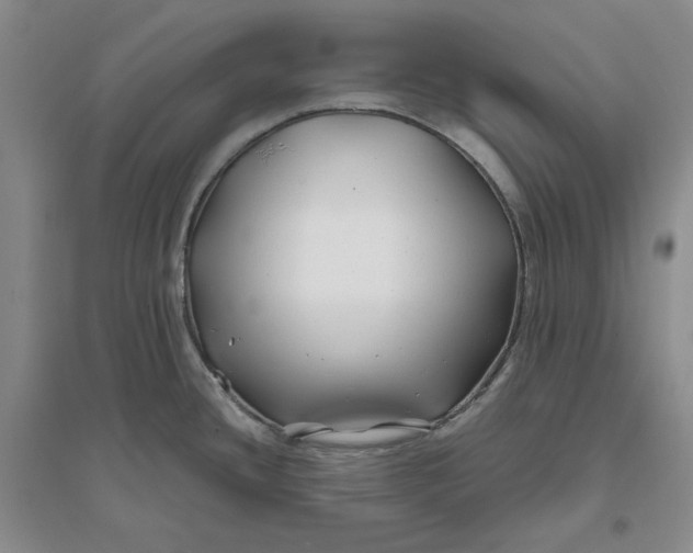 X0000094081436200711091205