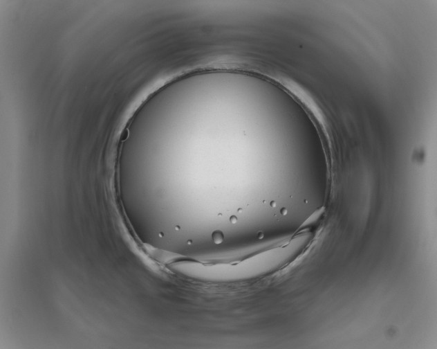 X0000094081437200711091205
