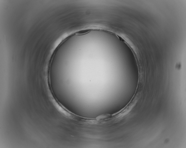 X0000094081438200711091205