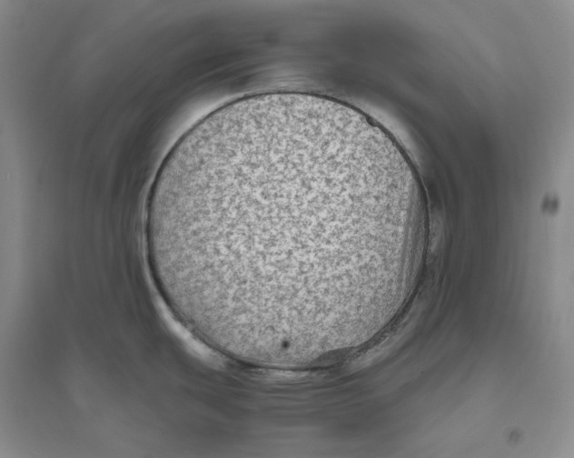 X0000094081439200711091205