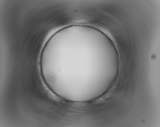 X0000094081440200711091205